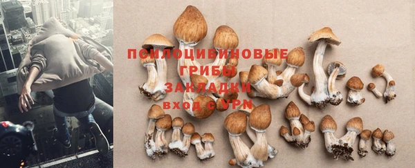 марки nbome Верхний Тагил